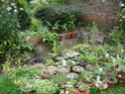 http://i55.servimg.com/u/f55/12/05/83/12/th/dsc04811.jpg