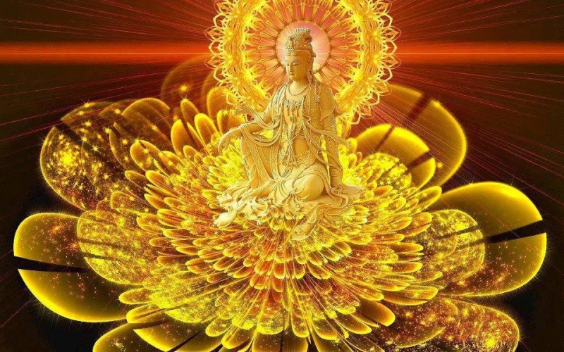 bouddha lotus doré