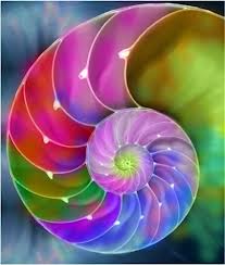 spirale eveil