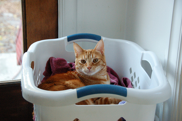 Useful Eco-Friendly Laundry Tips