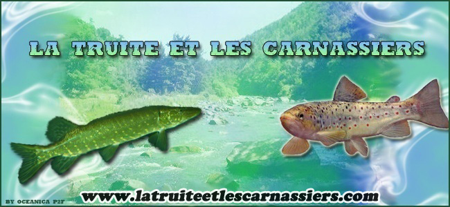 La Truite et les Carnassiers