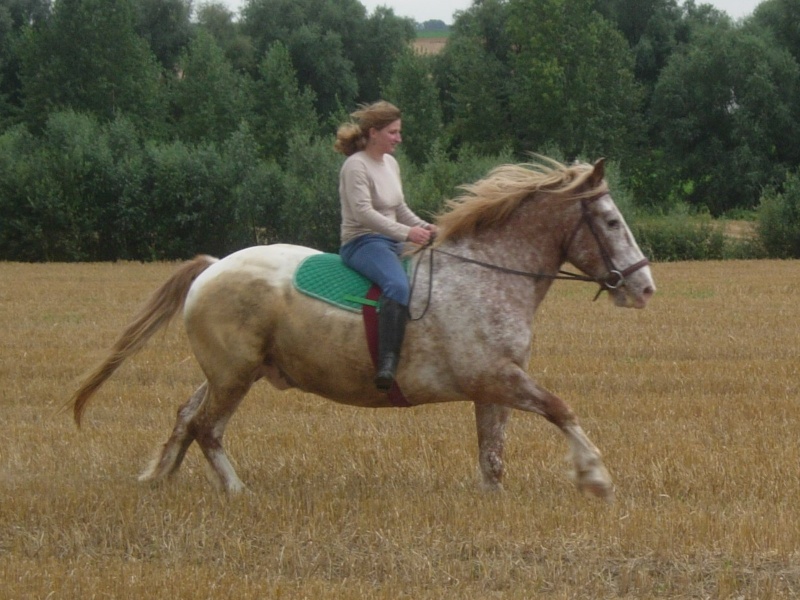 rscn4312.jpg
