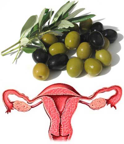 olives10.jpg