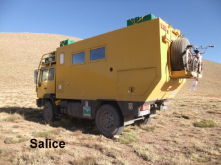 salice10.jpg
