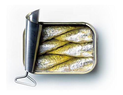 sardin10.jpg