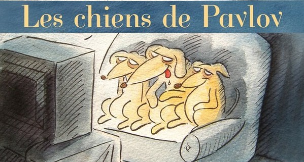 chiens11.jpg