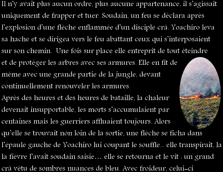 texte_11.png