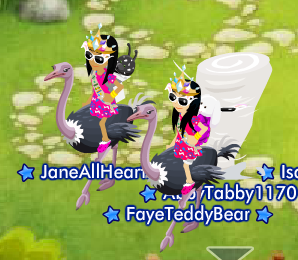 jane_t13.png