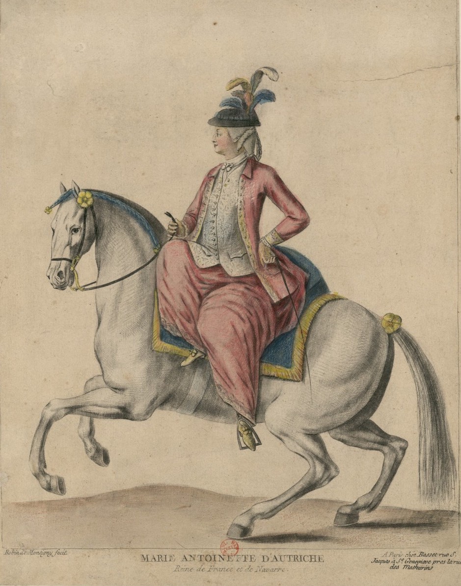 Гравюры 18 века в хорошем качестве кони